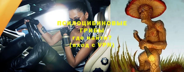 молекула духа Балабаново