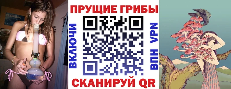 Псилоцибиновые грибы Cubensis  mega рабочий сайт  дарк нет формула  Бикин 