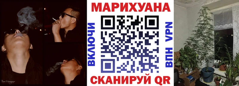 Каннабис сатива  где купить   Бикин 